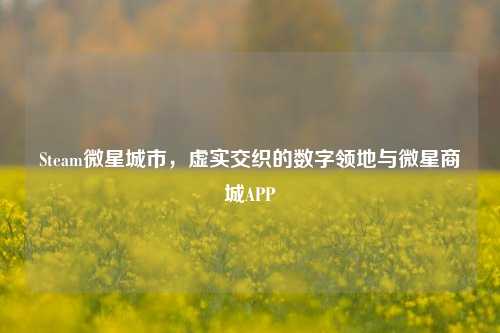 Steam微星城市，虚实交织的数字领地与微星商城APP