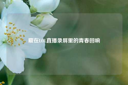 藏在LOL直播录屏里的青春回响