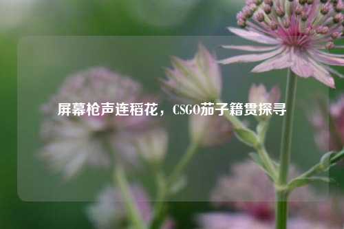 屏幕枪声连稻花，CSGO茄子籍贯探寻