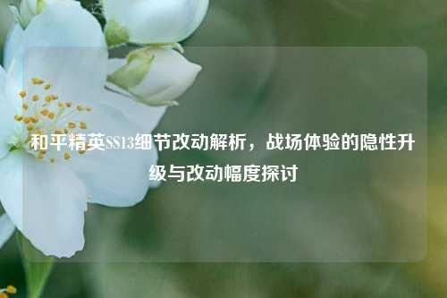 和平精英SS13细节改动解析，战场体验的隐性升级与改动幅度探讨