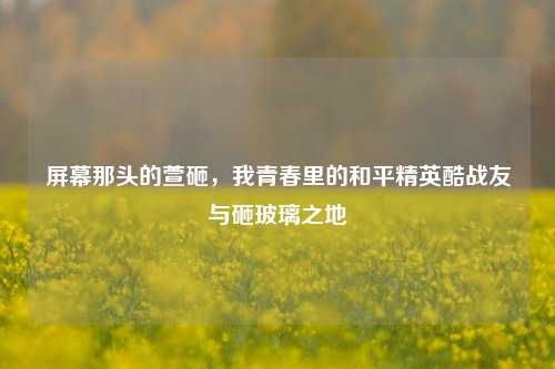 屏幕那头的萱砸，我青春里的和平精英酷战友与砸玻璃之地