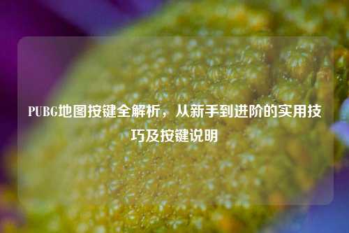 PUBG地图按键全解析，从新手到进阶的实用技巧及按键说明