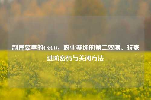 副屏幕里的CS:GO，职业赛场的第二双眼、玩家进阶密码与关闭方法
