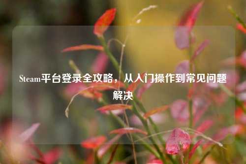 Steam平台登录全攻略，从入门操作到常见问题解决