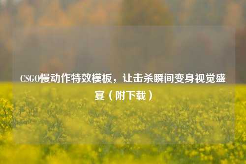 CSGO慢动作特效模板，让击杀瞬间变身视觉盛宴（附下载）