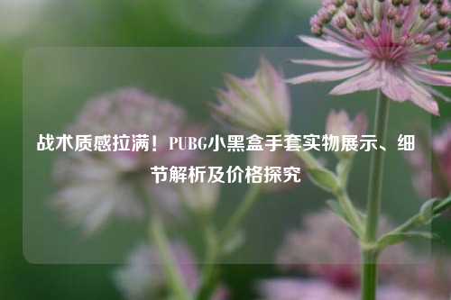 战术质感拉满！PUBG小黑盒手套实物展示、细节解析及价格探究