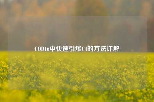 COD16中快速引爆C4的方法详解