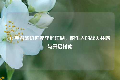 CF手游随机匹配里的江湖，陌生人的战火共鸣与开启指南