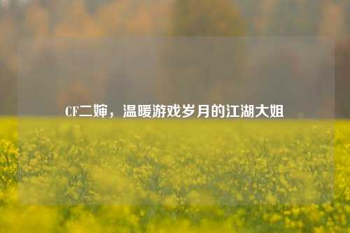 CF二婶，温暖游戏岁月的江湖大姐