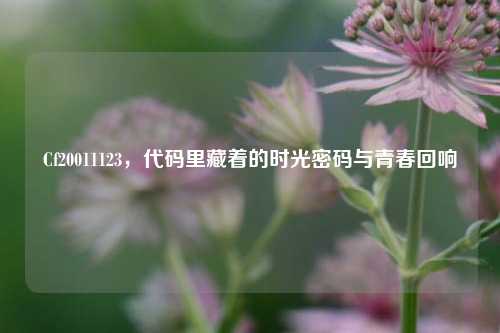 Cf20011123，代码里藏着的时光密码与青春回响
