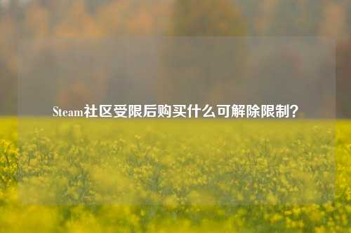 Steam社区受限后购买什么可解除限制？