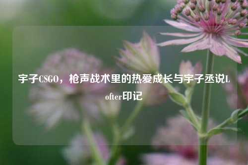 宇子CSGO，枪声战术里的热爱成长与宇子丞说Lofter印记