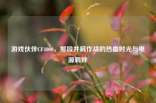 游戏伙伴CF4000，那段并肩作战的热血时光与电源羁绊