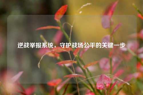 逆战举报系统，守护战场公平的关键一步