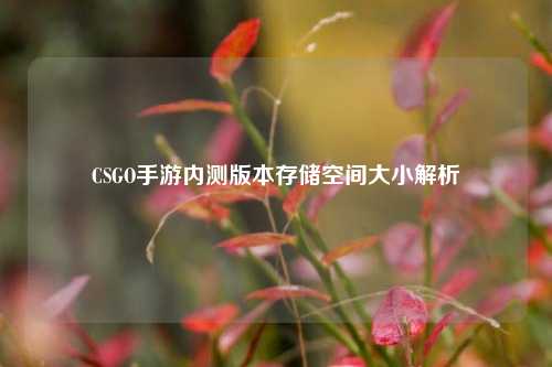 CSGO手游内测版本存储空间大小解析