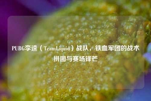 PUBG李逵（TeamLiquid）战队，铁血军团的战术拼图与赛场锋芒