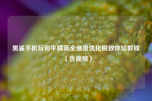 黑鲨手机玩和平精英全维度优化极致体验教程（含视频）