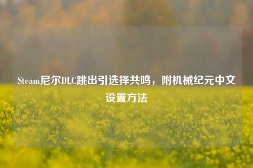 Steam尼尔DLC跳出引选择共鸣，附机械纪元中文设置方法