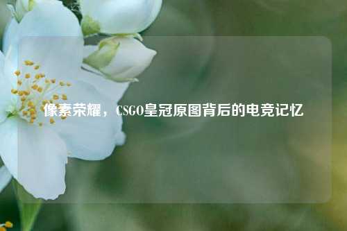 像素荣耀，CSGO皇冠原图背后的电竞记忆