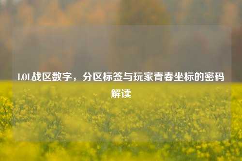 LOL战区数字，分区标签与玩家青春坐标的密码解读