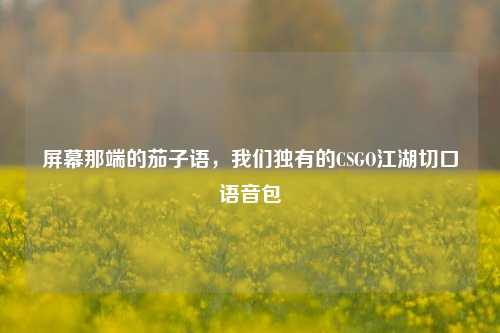 屏幕那端的茄子语，我们独有的CSGO江湖切口语音包