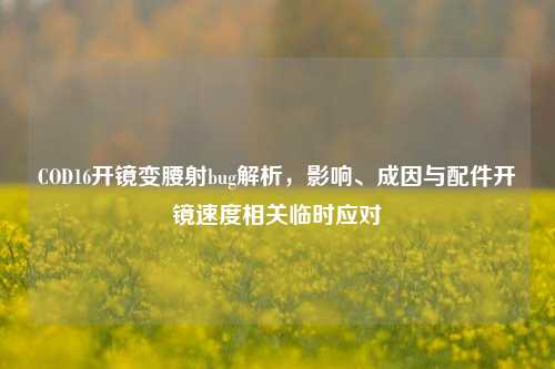 COD16开镜变腰射bug解析，影响、成因与配件开镜速度相关临时应对