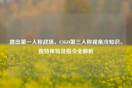 跳出第一人称战场，CSGO第三人称视角冷知识、独特体验及指令全解析