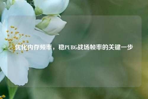 优化内存频率，稳PUBG战场帧率的关键一步