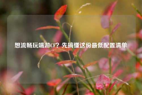 想流畅玩端游CF？先搞懂这份最低配置清单