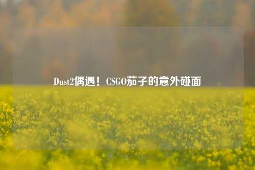Dust2偶遇！CSGO茄子的意外碰面