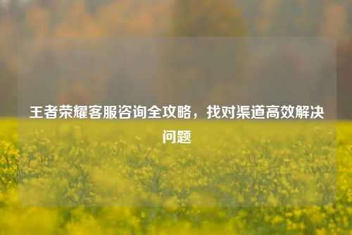 王者荣耀客服咨询全攻略，找对渠道高效解决问题