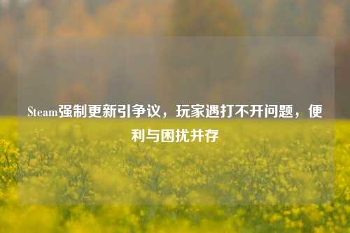 Steam强制更新引争议，玩家遇打不开问题，便利与困扰并存