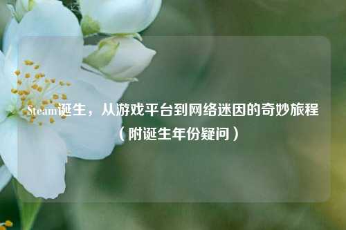 Steam诞生，从游戏平台到网络迷因的奇妙旅程（附诞生年份疑问）