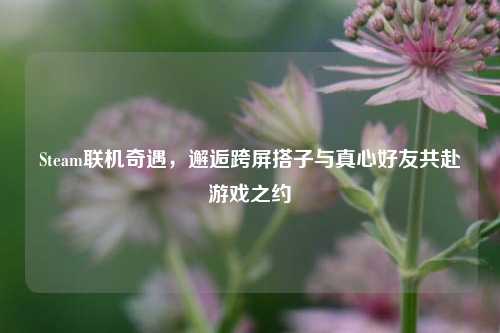Steam联机奇遇，邂逅跨屏搭子与真心好友共赴游戏之约