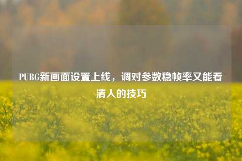 PUBG新画面设置上线，调对参数稳帧率又能看清人的技巧