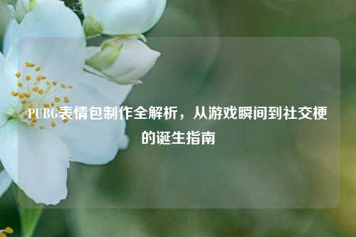 PUBG表情包制作全解析，从游戏瞬间到社交梗的诞生指南