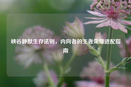 峡谷静默生存法则，内向者的王者荣耀适配指南