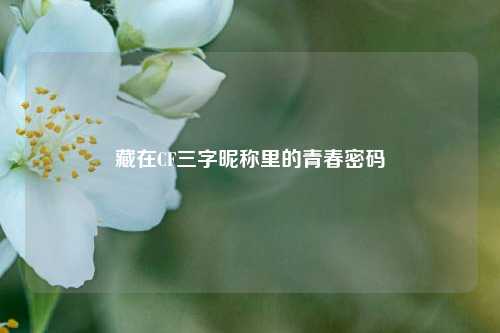 藏在CF三字昵称里的青春密码