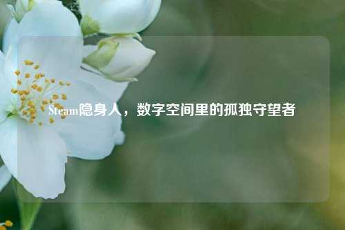 Steam隐身人，数字空间里的孤独守望者