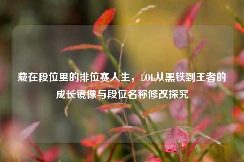 藏在段位里的排位赛人生，LOL从黑铁到王者的成长镜像与段位名称修改探究