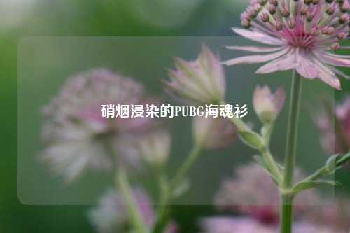 硝烟浸染的PUBG海魂衫