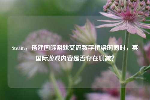 Steam，搭建国际游戏交流数字桥梁的同时，其国际游戏内容是否存在删减？