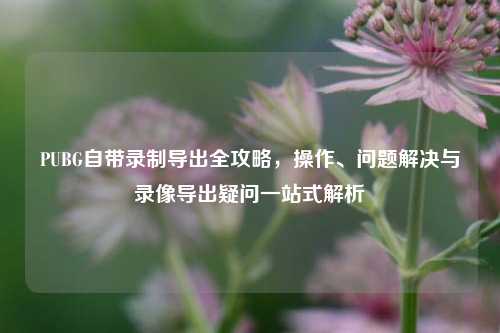 PUBG自带录制导出全攻略，操作、问题解决与录像导出疑问一站式解析