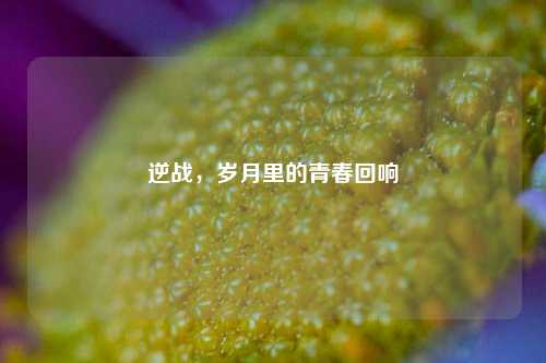 逆战，岁月里的青春回响