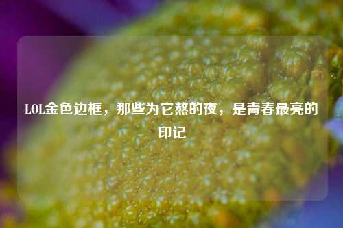LOL金色边框，那些为它熬的夜，是青春最亮的印记