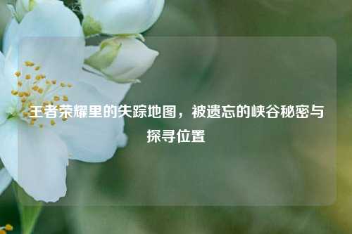 王者荣耀里的失踪地图，被遗忘的峡谷秘密与探寻位置