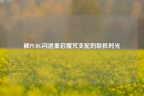 被PUBG闪退重启魔咒支配的联机时光