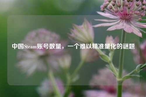 中国Steam账号数量，一个难以精准量化的谜题