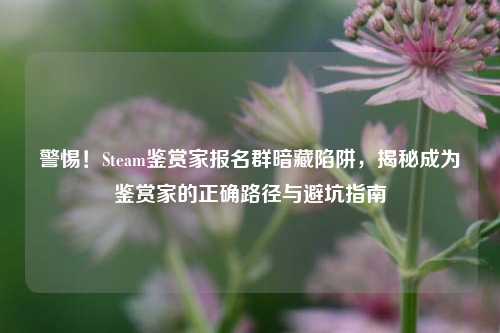 警惕！Steam鉴赏家报名群暗藏陷阱，揭秘成为鉴赏家的正确路径与避坑指南