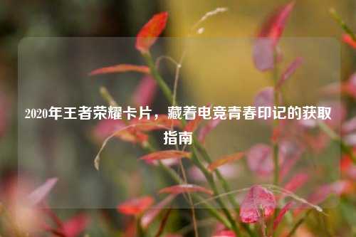 2020年王者荣耀卡片，藏着电竞青春印记的获取指南
